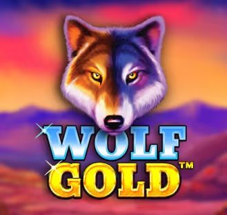 Wolf Gold slot game, a popular choice at Betvibe Casino.